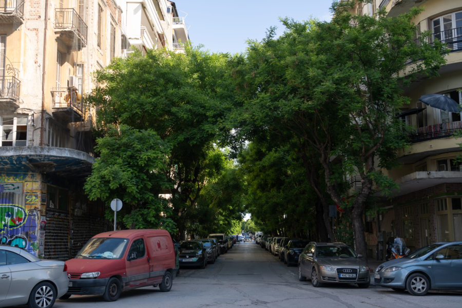 Visite de la ville de Thessalonique sous ses grands arbres