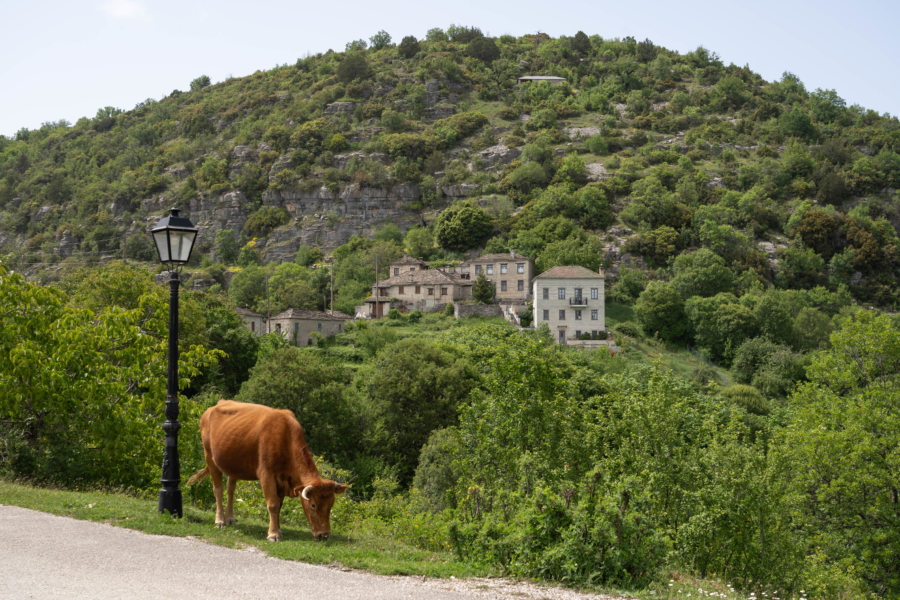 Village de Kapesovo, parc de Vikos, Zagoria