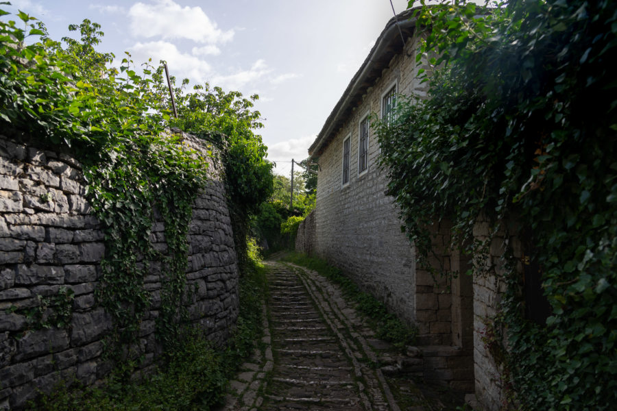 Visite du village de Monodendri en Grèce