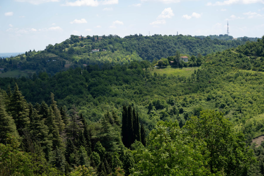 Collines de la guardia de San Luca à Bologne